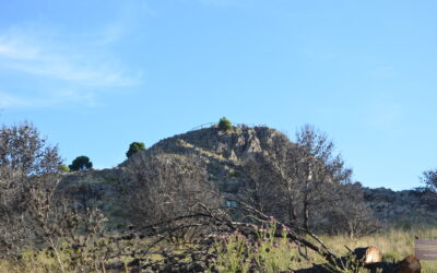 Mirador del Casuhatí