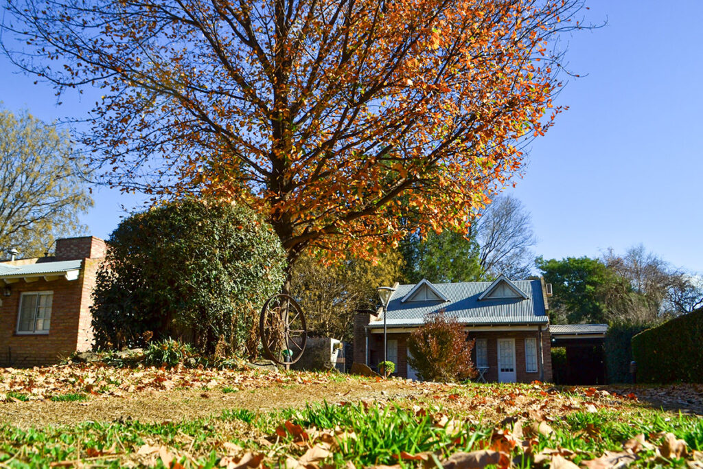 Cabañas Catalina Sierra de la Ventana