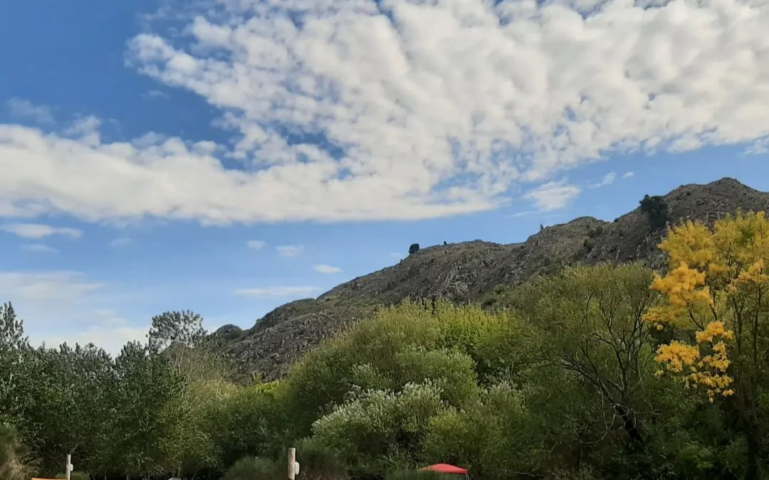 Cabañas y Camping El Pinar