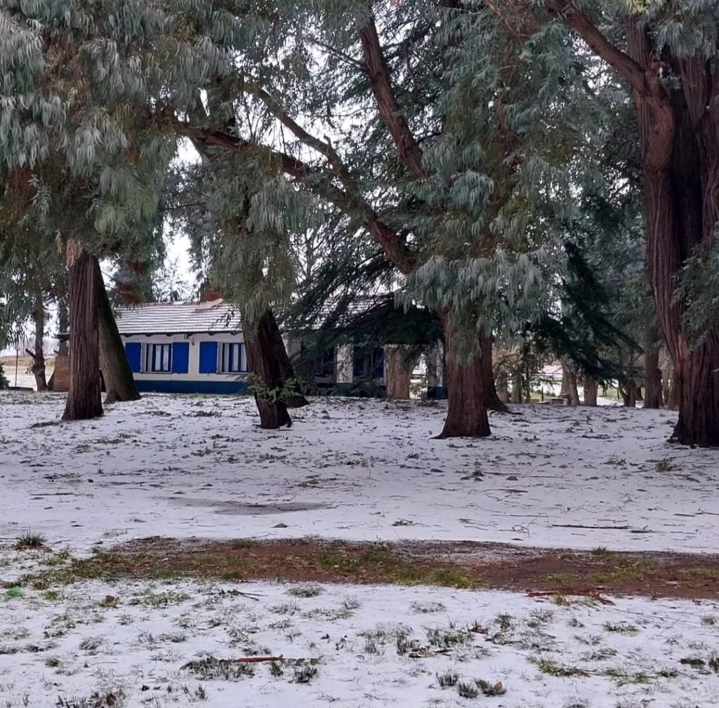 El Pinar – Villa Ventana