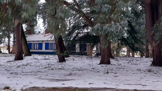 Cabañas y Camping El Pinar